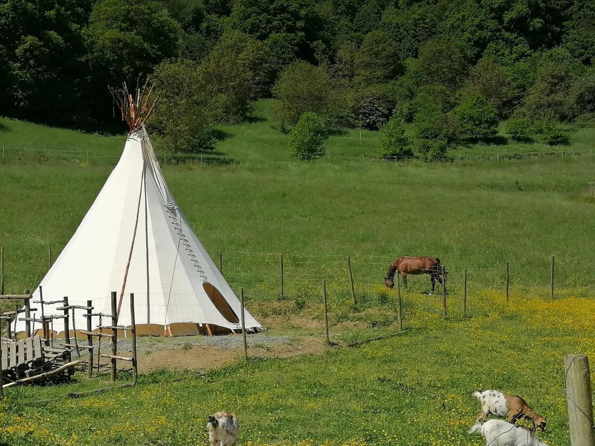 Zuruck Zur Natur - Urlaub Im Zirkuswagen, Sommeratelier Oder Schindelwagen Adenbach Экстерьер фото