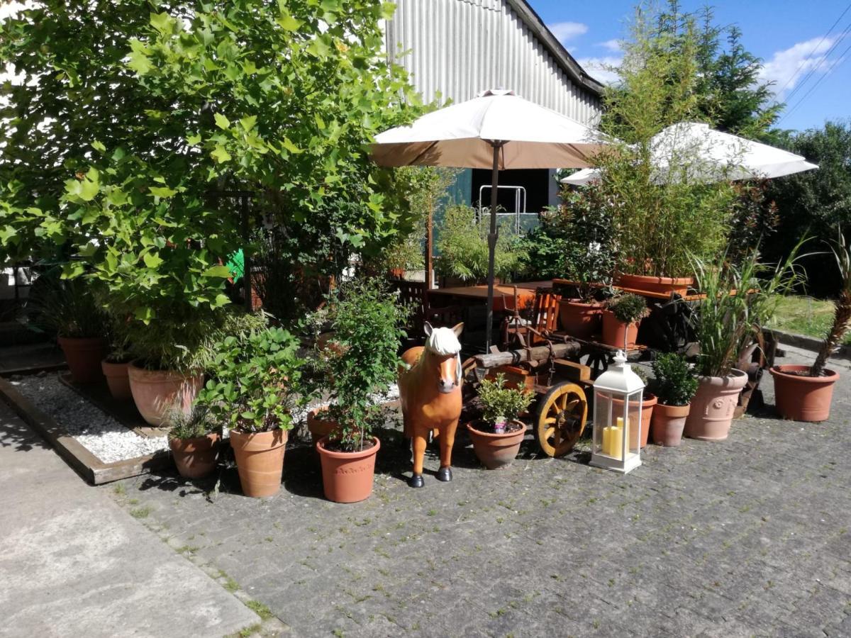 Zuruck Zur Natur - Urlaub Im Zirkuswagen, Sommeratelier Oder Schindelwagen Adenbach Экстерьер фото